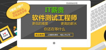 上海軟件測試與軟件開發工程師市場行情及技能提升路徑探析